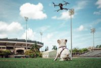 Drone Regulations You Should Know Before Buying Online